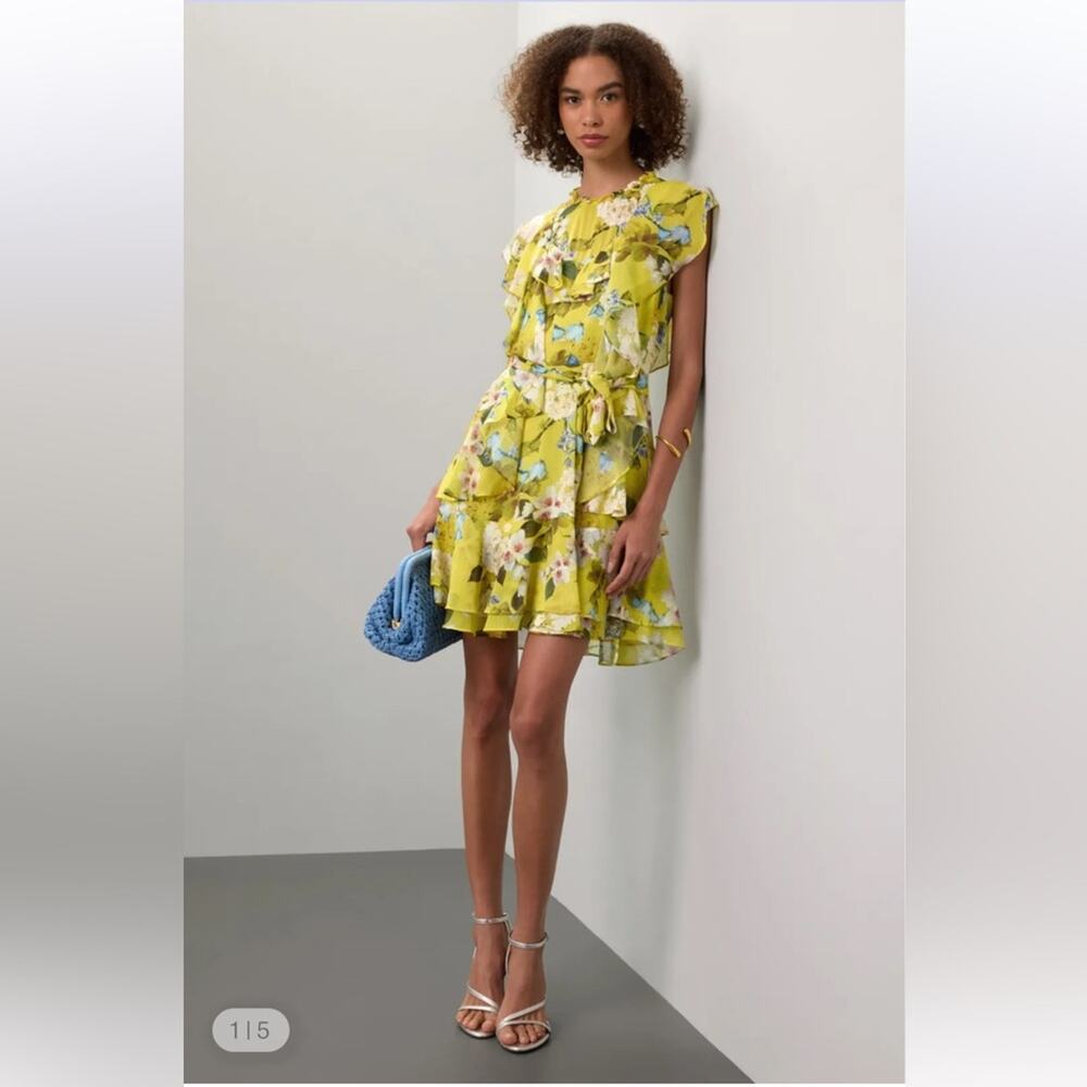 Marissa Webb & RTR
Ruffle Mini Dress